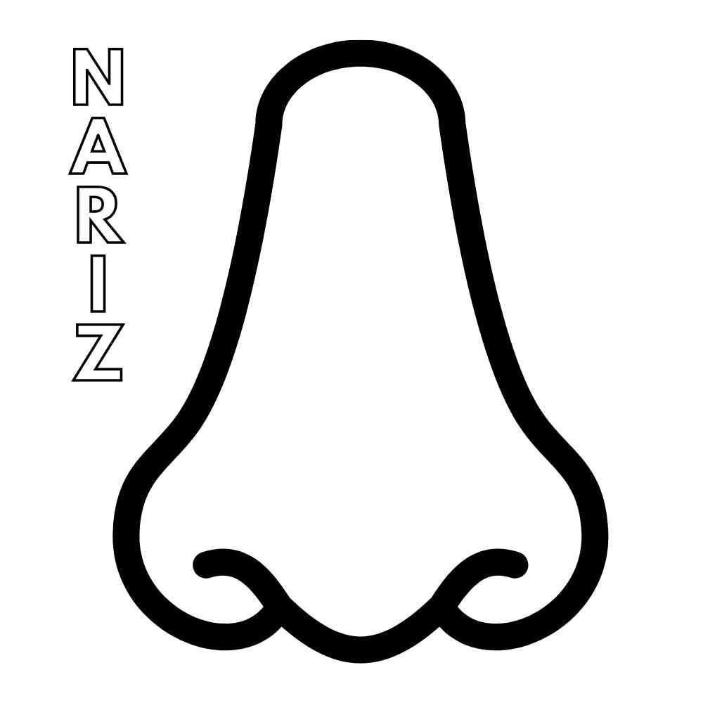 MOLDE DE NARIZ