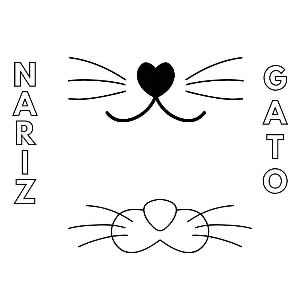 molde de nariz de gato